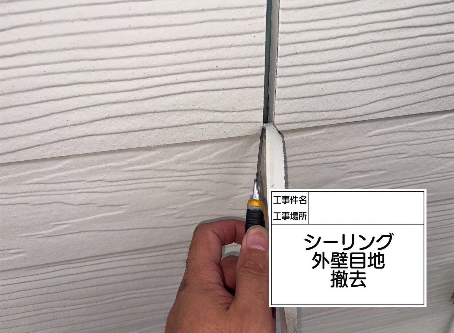 江戸川区　雨漏り