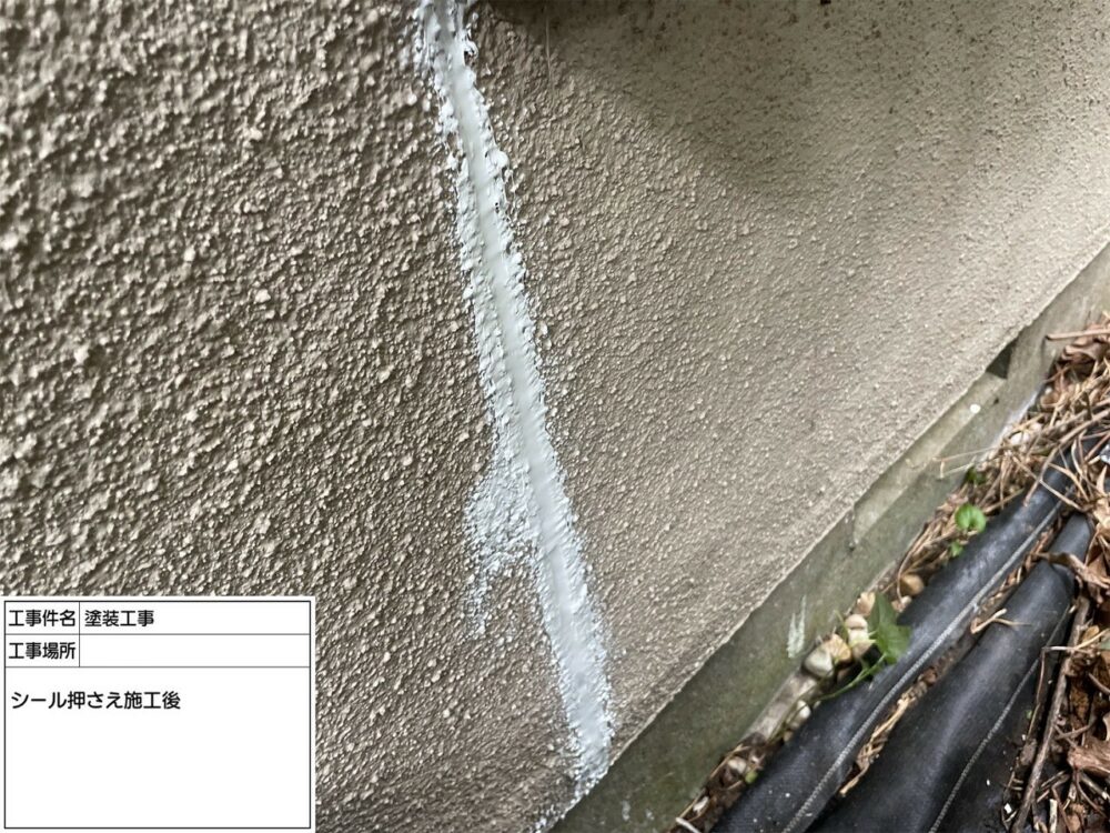 松戸市 雨漏り