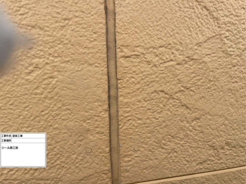 江戸川区 雨漏り