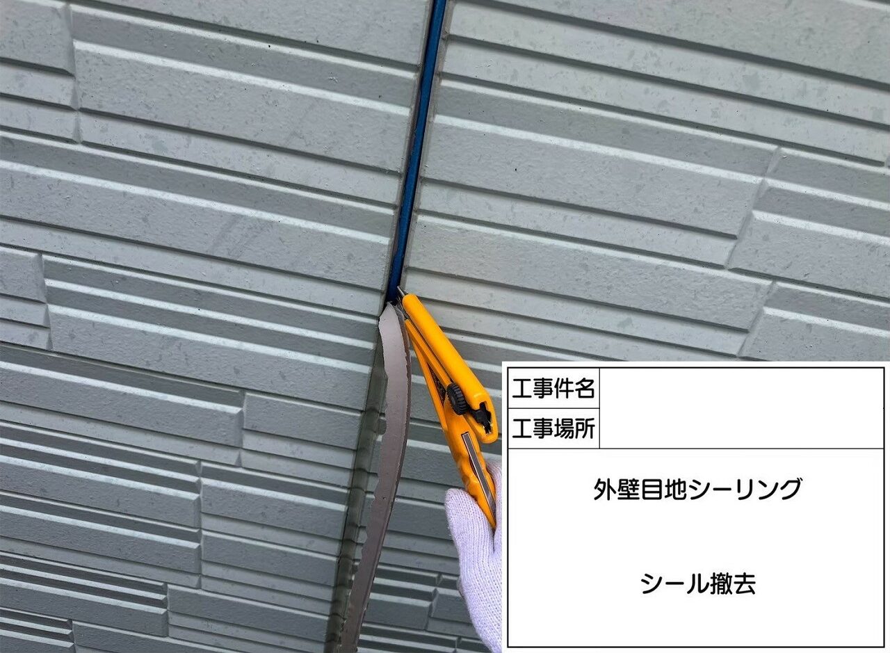 江戸川区 雨漏り