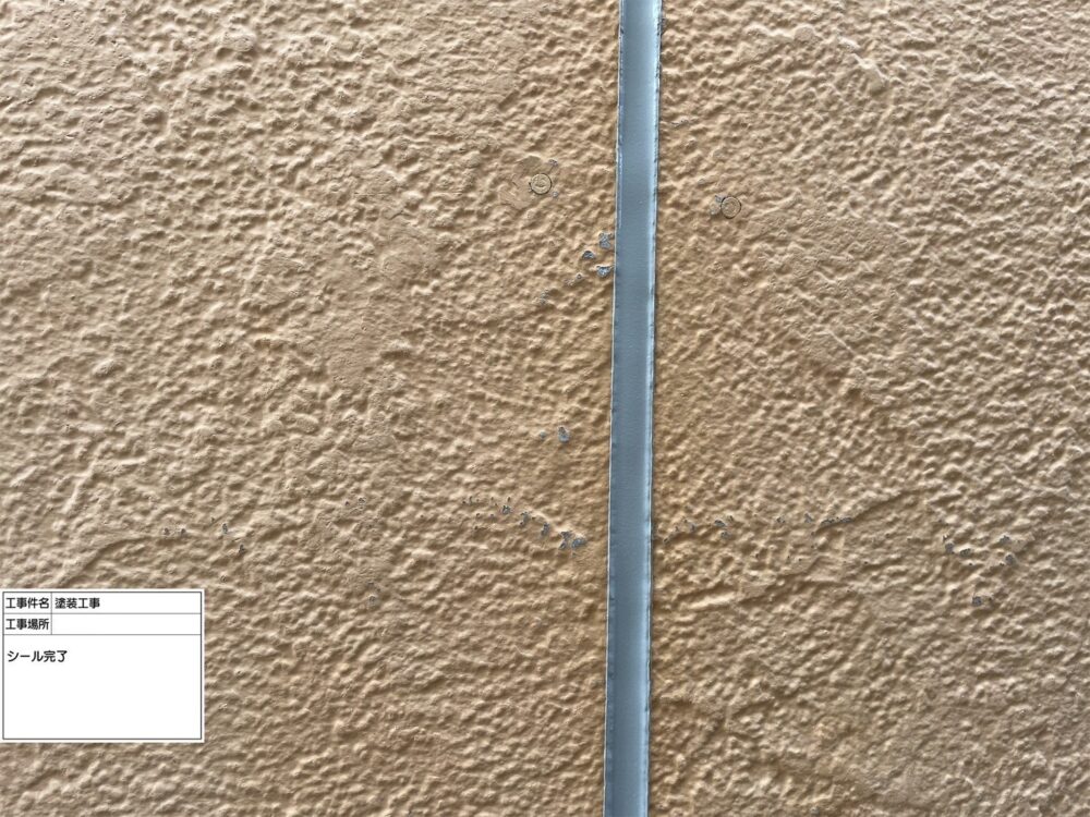 江戸川区 雨漏り