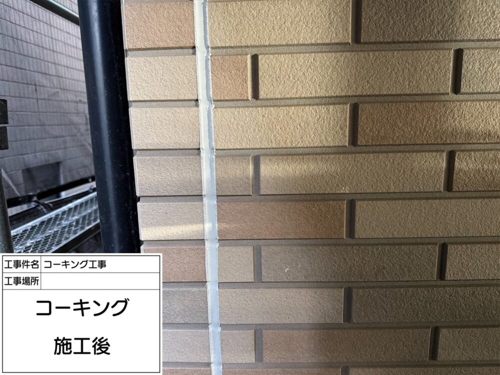 江戸川区 雨漏り